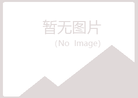 乌达区夏岚化学有限公司